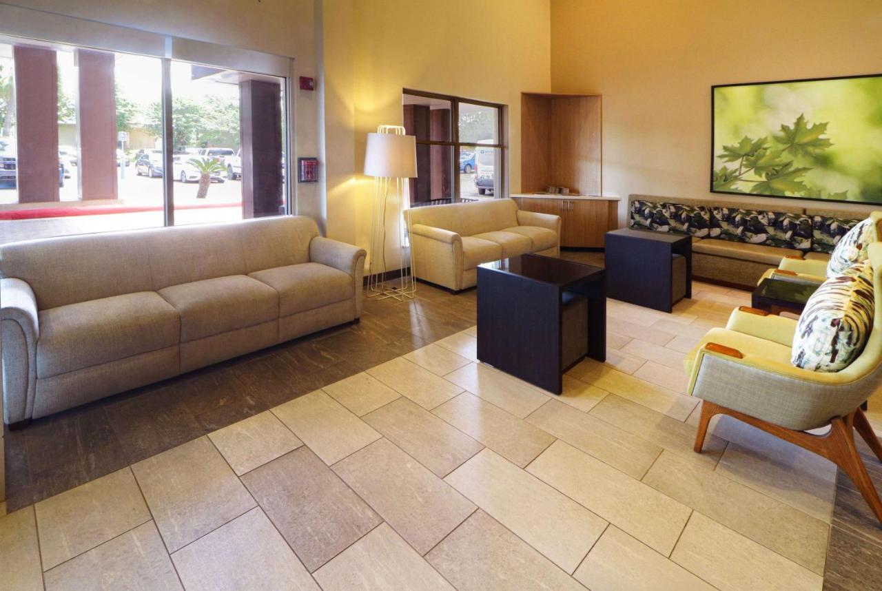 Wyndham Garden Mcallen At La Plaza Mall Eksteriør bilde